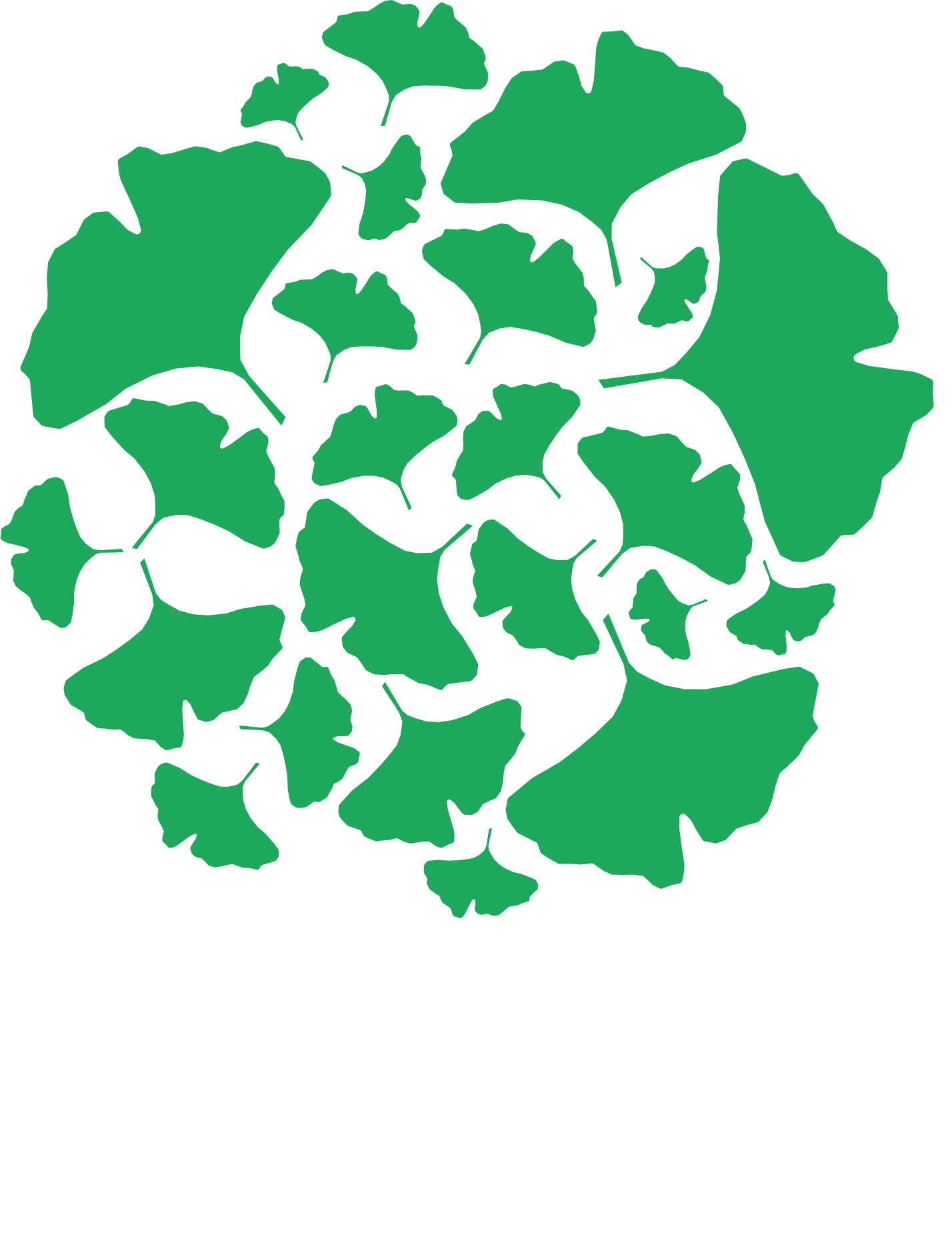 Aucmand Skincare